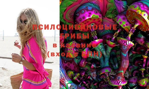 мяу мяу мука Абинск