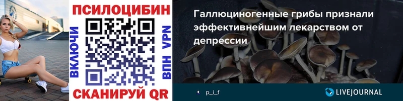 Галлюциногенные грибы Psilocybe  Красный Сулин 