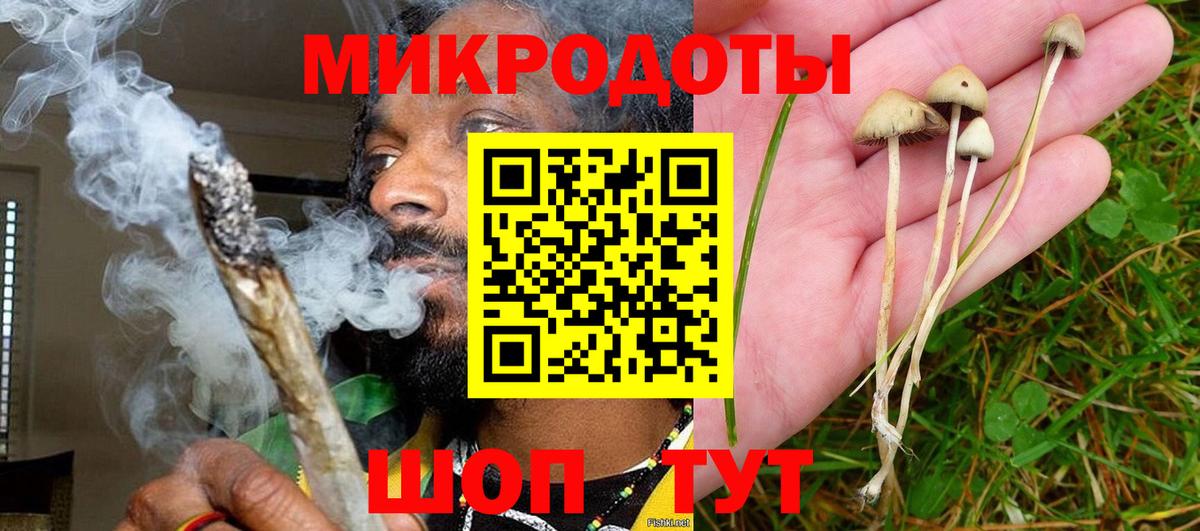Красный Сулин  Псилоцибиновые грибы прущие грибы  купить закладку  Вход с VPN 